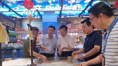 吴泽桐到梅州城区开展交通运输、特种设备和食品安全大检查