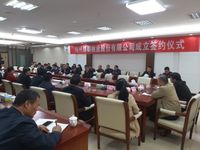 集中优势力量打造“梅州柚”！梅州都都柚业股份有限公司成立