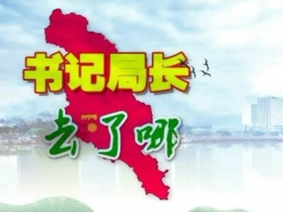 兴宁各镇党委书记、各局局长上周在忙什么？