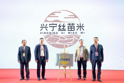 做好“一粒米”文章！兴宁丝苗米区域公用品牌发布