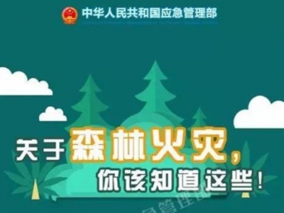 消防科普一图读懂！发生森林火灾怎么办，你想知道的都在这里！