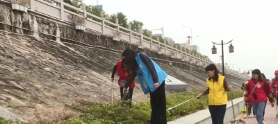 家门口的河我来护！丰顺开展争当“河小青”助力河长制护河志愿行动~