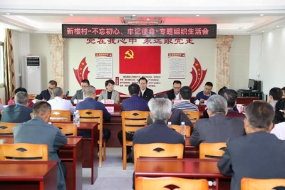 曾永祥到汤南镇新楼村指导主题教育专题组织生活会