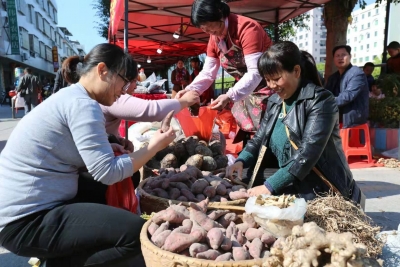 现场人气火爆！“五子登科”亮相松源赴圩节