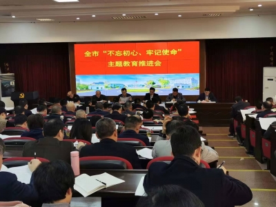 我市召开“不忘初心、牢记使命”主题教育推进会 以整改推动主题教育高质量开展