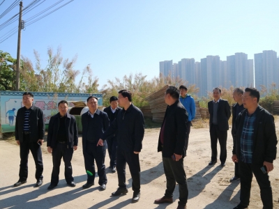 黄文沐到大埔督导垦造水田、违法用地治理等工作