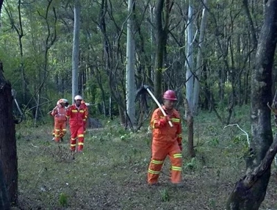 筑牢森林“防火墙”，蕉岭有良方...