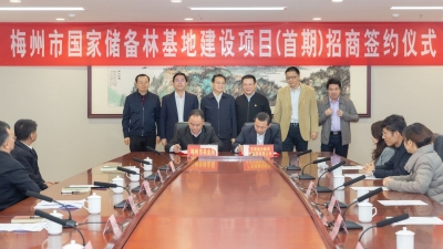 200万亩！总投资150亿元！梅州市成功签署国家储备林基地建设项目