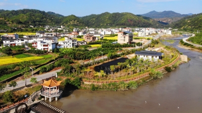 美到不敢认！半年间，大埔这个村从“追兵”变“标兵”