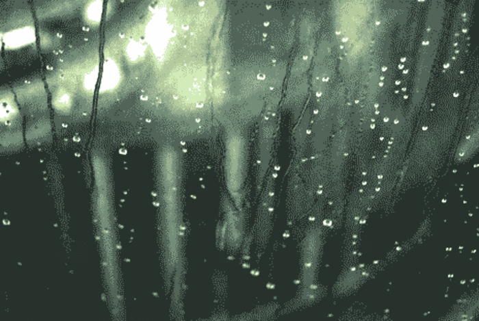 天气太干燥？别急，蕉岭准备向天“借”雨！