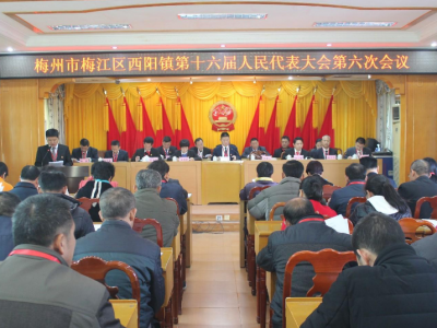 梅江区西阳镇第十六届人民代表大会第六次会议顺利召开