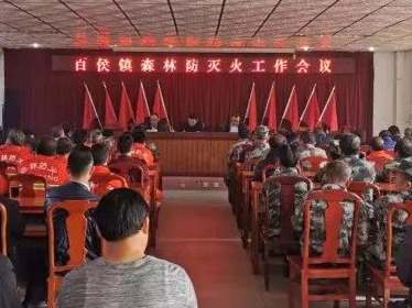 合力筑牢防火线！大埔百侯镇召开森林防灭火工作会议