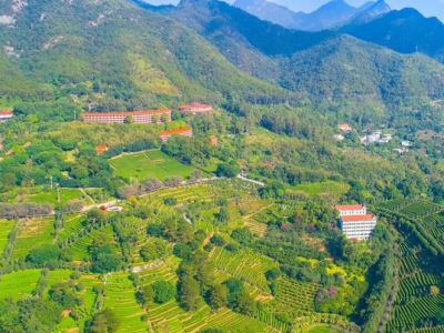 梅县区召开2020年“谁执法谁普法”履职报告评议会议