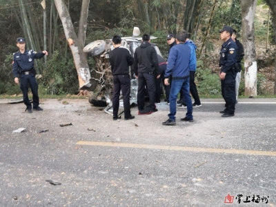路见险情就出手！小车爆胎撞树，大埔民警破窗救人