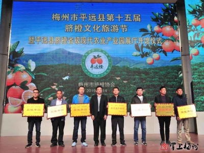 2019梅州·平远脐橙最佳果园、最高单产果园出炉啦！