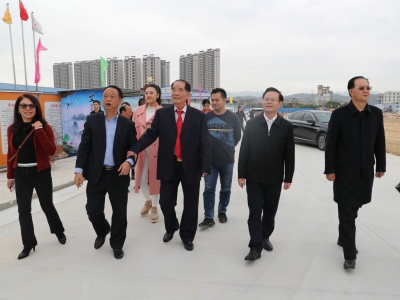 杰出乡贤许应裘回乡考察丰顺坚真文体中心建设