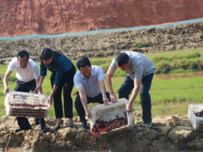 念好三字经，干群一条心！五华龙村镇湖中村抓党建转作风促发展