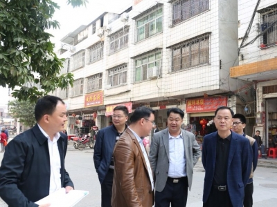 洪国华率队到新圩镇调研基础设施建设、食品安全等方面工作