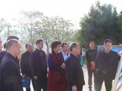余其豹到大坪镇调研： 用好用活“两大政策” 打造红色旅游精品线路
