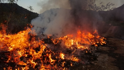 不可取！百岁山附近疑有人露天焚烧垃圾，现场浓烟滚滚