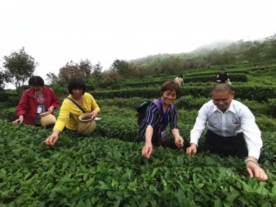 全市唯一！这项目获评“2019民生示范工程”，丰顺人的小骄傲+1