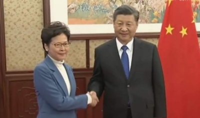习近平会见来京述职的林郑月娥