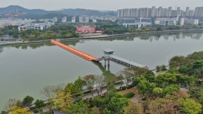 梅城东山人行浮桥恢复正常通行啦！