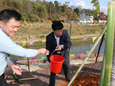 @平远人，春节回家种树栽花，一起为家乡添绿增彩