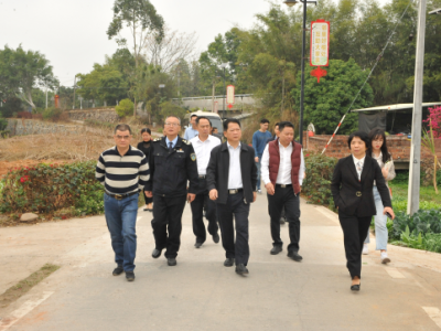 朱国城调研城区道路和美丽乡村建设工作：求细务实解决好民生实事