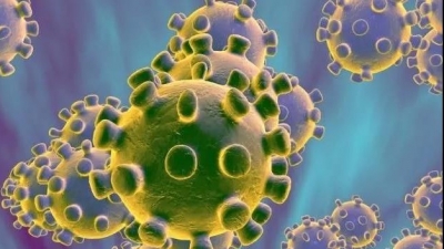 累计4例！梅州新增新型冠状病毒感染的肺炎确诊病例1例