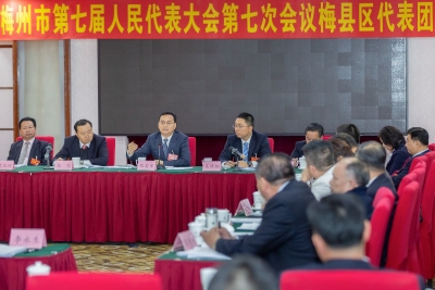 张爱军参加梅县区代表团分组审议：攻坚克难真抓实干 继续当好全市经济发展排头兵