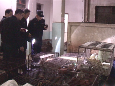 广东全境严禁野生动物及其制品交易