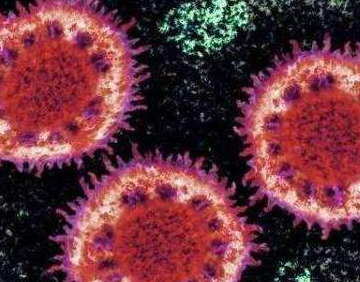 V视丨8个习惯预防新型冠状病毒感染肺炎