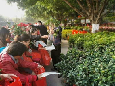 走，春节回家一起种树栽花吧！让这些美丽“承包”五华的颜值...