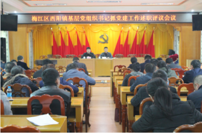 梅江区西阳镇召开基层党组织书记抓党建工作述职评议会议