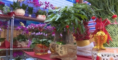 花团锦簇、商品多多！五华2020迎春花市暨年货节来了，一起约吗？
