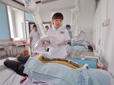 两会民生眼丨市人大代表建议加强中医药项目引进和产业培育