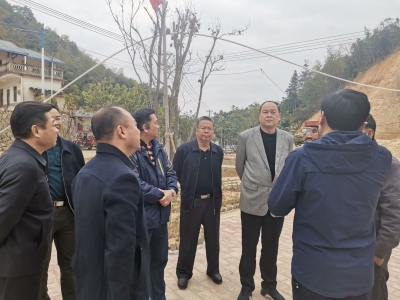 高质量打赢打好脱贫攻坚战！市政协把新春祝福送到大埔县青华村...