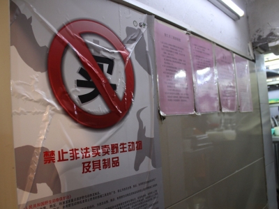 突击行动！梅州打击违法售卖野生动物行为