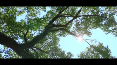 V视丨文明出行，平安相伴！