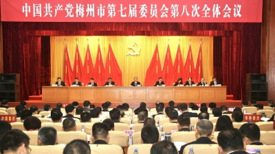 回顾过去，展望未来！市委七届八次全会的“重点”都在这！