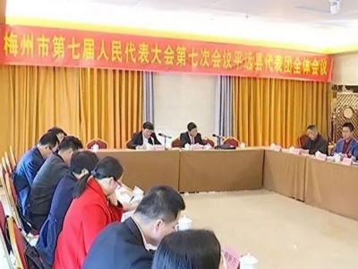 市七届人大七次会议平远代表团开展代表团会议