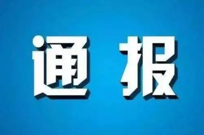 中央纪委国家监委通报：2019年处分省部级干部41人