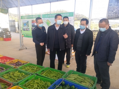 市民“菜篮子”“米袋子”管够！梅州市农产品储备供应充足