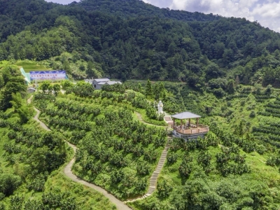 太好听！世界长寿乡形象歌曲《长寿大埔是我家》发布，来看视频！