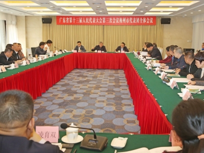 科学建言献策 共谋发展大计！梅州代表团继续分组讨论，许瑞生陈敏张爱军等参加