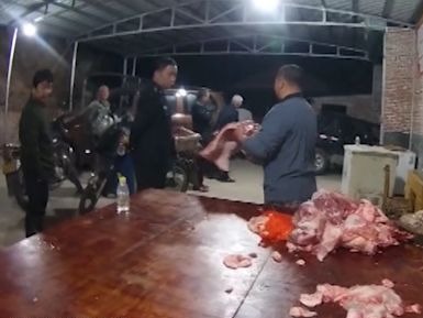 绝不手软！兴宁端掉一生猪非法屠宰点