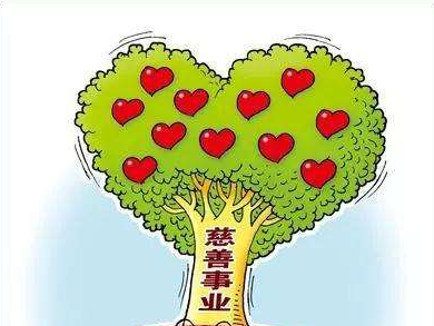 儿慈会：吴花燕善款全部原路退回
