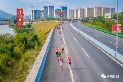 免费搭乘！@各位跑友们，“梅马”交通接驳攻略来了→