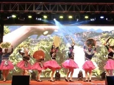 新时代文明实践活动暨非遗项目巡演走进丰顺丰良镇